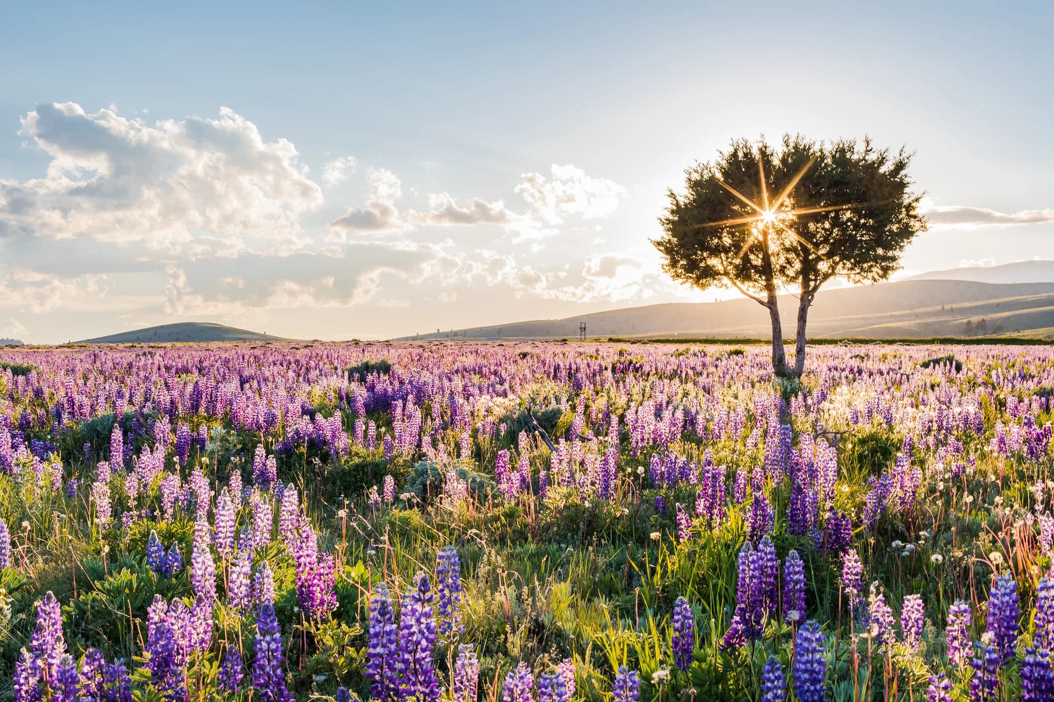 Montana photograph by Jason O'Neil